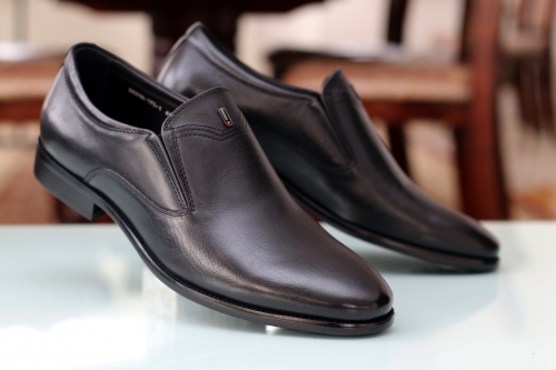 Cosottinni D828N-175-1