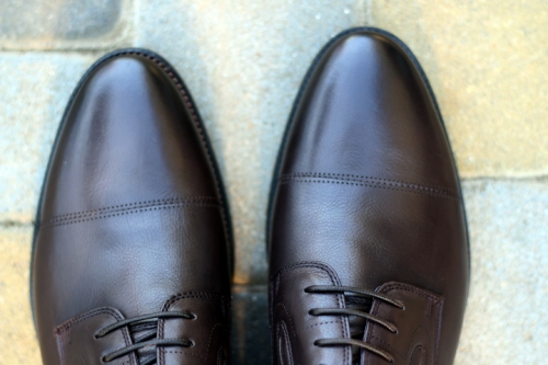 cosottinni D828N-73-A02 COFFEE